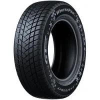 GT Radial WinterPro2
