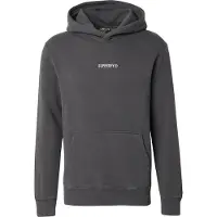 Superdry Superdrytil mænd. M2014031A Sweatshirt med hætte og gråt mikrologo (S), Casual, Bomuld