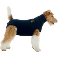 PADU hund - blå - XS