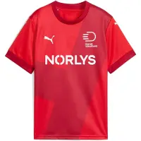 Puma Danish Handball Federation 2025 Home Jersey Youth, Clothing, Red/Dark Cherry, 3-4Y