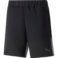 Puma Shorts Teamcup Casuals - Sort, størrelse Small