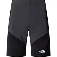 The North Face Felik Slim Shorts