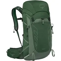 Osprey - Dagstursrygsække - Talon 33 Green Canopy/Pine Leaf til Unisex - Grøn