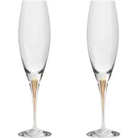 Orrefors Intermezzo champagneglas 26 cl 2-pak Guld