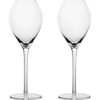 Sagaform Saga champagneglas 2-pak Klar