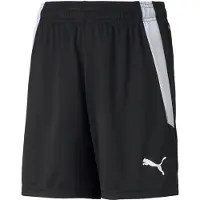 Puma teamLIGA Football Shorts Youth, Clothing, Black/White, 7-8Y
