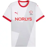 Puma Danish Handball Federation 2025 Away Jersey Men, Clothing, White/Cool Light Gray, XL