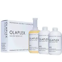 Olaplex Salon Intro Kit