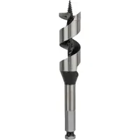 Bosch Powertools Bosch SPIRALBOR 25X100X160MM SEKSKANTSKAFT