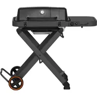 Mustang Folding Gas Grill