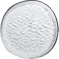 Cooee Design Gry platter dekorationsbakke Ø28 cm Clear