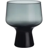 Iittala Solare glas på fod 29 cl 2-pak Stålgrå