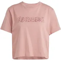 Adidas Terrex Graphic T-shirt Med Korte ærmer