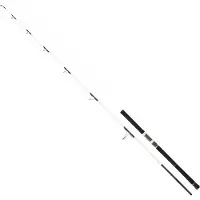 Daiwa Saltist Off Shore Spinnestang