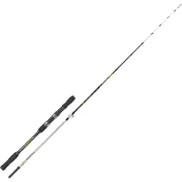 Renzo Valdieri Zizari Jigging Stang
