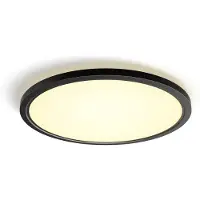 Philips Hue White Ambiance Tento Rundt Loftpanel 54,2 Cm, Sort