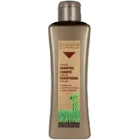 Salerm Cosmetics Biokera Arganology Shampoo 300ml