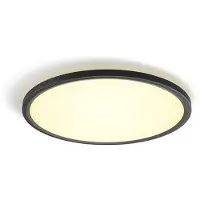 Philips Hue White Ambiance Tento Rundt Loftpanel 42,1 Cm, Sort