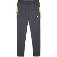 Puma Træningsbukser IndividualCUP - Grå/Lime grøn, størrelse X-Large