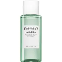 SKIN1004 Tea-Trica Purifying Toner 210 ml