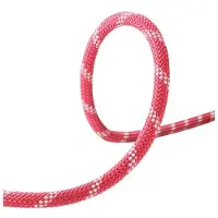 Edelrid Performance Static 10.5 Mm Reb