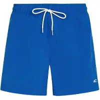 O'Neill Badeshorts 'Vert 16' royalblå
