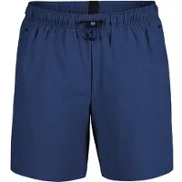 Arena Badeshorts 'Evo' mørkeblå