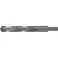 RUKO 2004150 Din 338 N Hss Ø 15.0 Mm Træbor