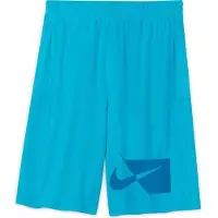 Nike Shorts Dri-FIT - Blå Plus Size Børn, størrelse XL: 158-170 cm