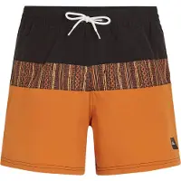 O'Neill Cali Block 15´´ Badeshorts