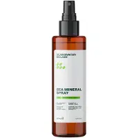 Scandinavian Biolabs Sea Mineral Spray Stylingspray 100 ml