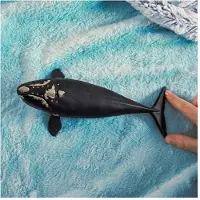 Schleich Wild Life - Nordkaper Hval - 19,5 cm - 14878 - - OneSize - Legetøjsdyr