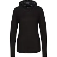 Smartwool Merino Sport 120 Hoodie T-shirt Med Lange ærmer
