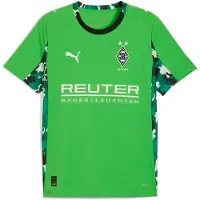 Puma Borussia Mönchengladbach 25/26 Away Jersey Men, Sport, Green/Warm White, XS
