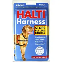 Halti Sele - Medium