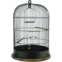 Zolux RETRO BUR LISETTE FUGL DIAMANT35