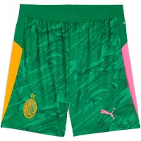 Puma Målmandsshorts 25/26 - Grøn, størrelse Small