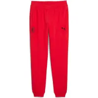Puma AC Milan FtblEssentials Pants Men, Sport, Red/Black, 3XL