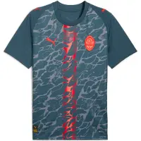 Puma FC Shakhtar Donetsk 25/26 Away Jersey Men, Sport, Gray Skies/Neon Sun, S