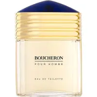 Boucheron Homme Eau de toilette 100 ml