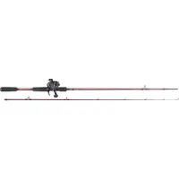 Daiwa Procaster+pr100l Baitcasting-kombination