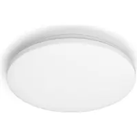 Philips Izso CL620 AIO RD 24W 27-40-65K W RC
