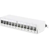 Digitus Professional DN-93706 - Patch-panel - STP - RJ-45 X 12 - lysegrå, RAL 7035