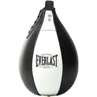 Everlast 1910 Speedbag