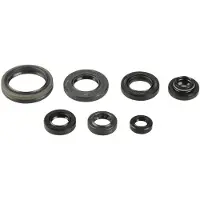 Athena P400510400029 Motoroliepakning
