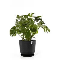 Ecopot's Oslo holdbar indend?rs/udend?rs moderne genanvendte plastikblomsterpotte planter m?rkegr? 10 "