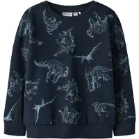 Name it Printet Sweatshirt