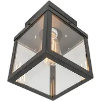 QAZQA Industriel udendørs loftslampe sort 1-lys - Rotterdam