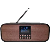 Scansonic PA8001 DAB+ radio with wireless charger - DAB+/FM - Sort