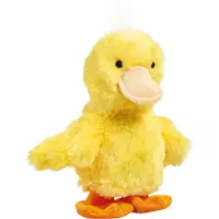 Happy Pets Rap Rap And